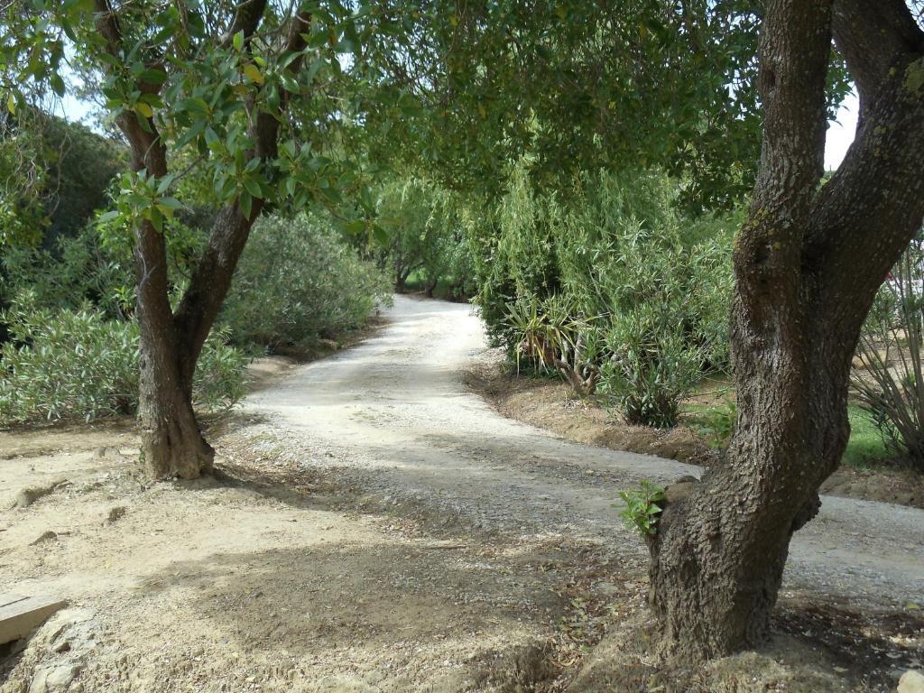 Casal Novo Pensjonat São Martinho do Porto Zewnętrze zdjęcie