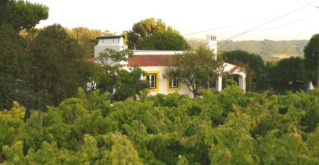 Casal Novo Pensjonat São Martinho do Porto Zewnętrze zdjęcie