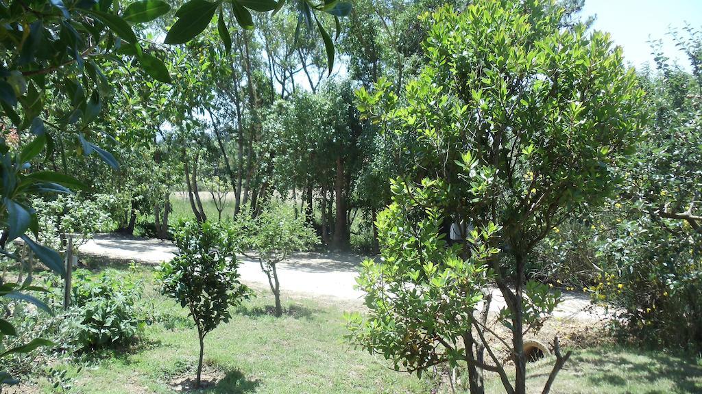 Casal Novo Pensjonat São Martinho do Porto Zewnętrze zdjęcie